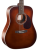 Cort Earth70 BR