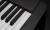 CASIO Privia PX-S3000BK