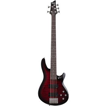 SCHECTER C-5 C-5 PLUS STCB