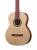 Kremona S65S-GG Sofia Soloist Series Green Globe