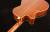 Oriental Cherry W-500S-40