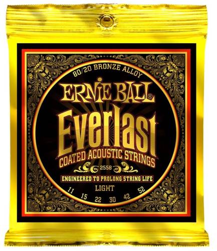 Набор струн для 6-струнной акустической гитары Ernie Ball P02558