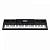Синтезатор Casio WK-6600