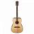 FENDER F-1000 Dreadnought Natural