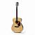 Tokai Cat's Eyes CE20T N