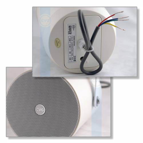 Громкоговоритель CVGaudio SPP5T