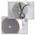 Громкоговоритель CVGaudio SPP5T