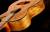 Oriental Cherry W-300-40
