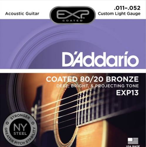 D'Addario EXP13