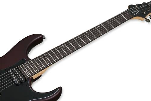 SCHECTER SGR BANSHEE-6 WSN