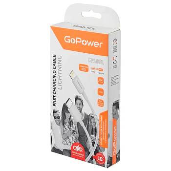 GoPower GP10TL