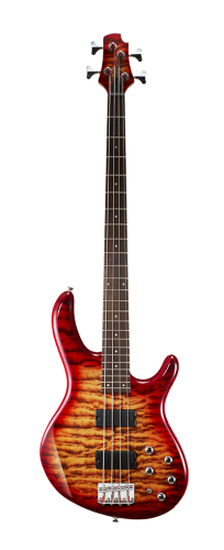 CORT Action DLX Plus CRS