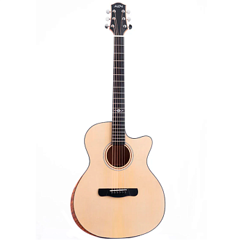 Aion Q10M