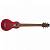 Гитара акустическая WASHBURN RO10TR