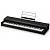 Kawai VPC1 Пианино цифровое, черный