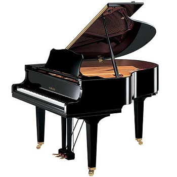 Yamaha GC1 PE