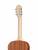Kremona S65S-GG Sofia Soloist Series Green Globe