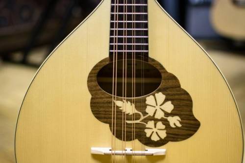 Hora M1085BAG Мандолина португальская с чехлом