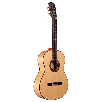 ALTAMIRA N300F