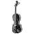 Fabio SF3900 BK Скрипка размера 4/4, цвет черный