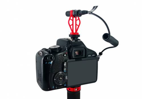 Acemic CAM20