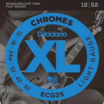 D'Addario ECG25