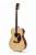 Tokai Cat's Eyes CE25T N