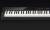 CASIO Privia PX-S3000BK
