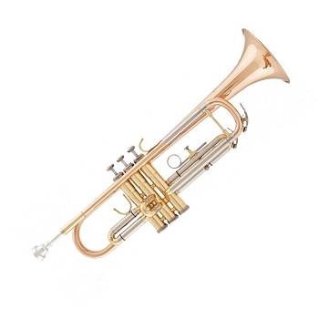 Arnolds&Sons ATR-4200G-TERRA  труба Bb студенческая модель