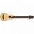 Гитара акустическая WASHBURN RO10N