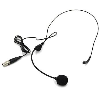 CT-19