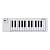 Arturia MicroLab 3 White MIDI клавиатура 25 клавиш