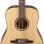 FENDER F-1000 Dreadnought Natural