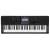 CASIO CT-X800 Синтезатор