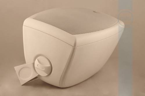 Громкоговоритель CVGaudio ODF508TBL
