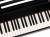 Nux NPK-10-BK