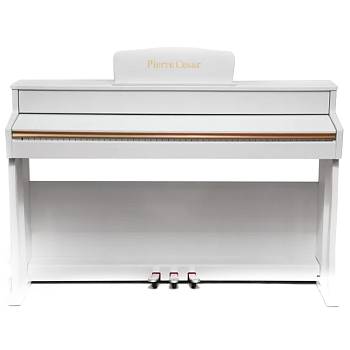 DP-500-H-WH