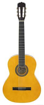 Aria Fiesta FST-200 N