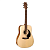 Simon&Patrick 029099 Woodland Spruce Акустическая гитара