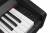 SOLISTA DP801BK