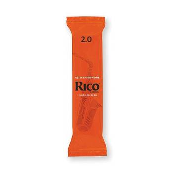 RJA0120-B25