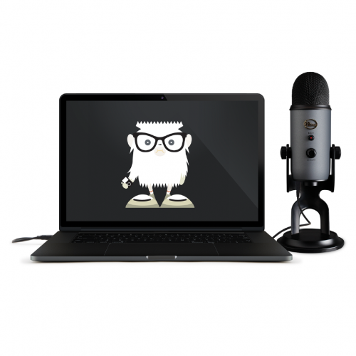 Blue Yeti Slate 5