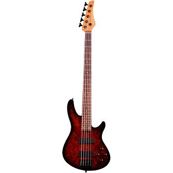 SCHECTER C-5 STANDARD TB