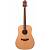 Crafter D-6/NC Гитара акустическая Dreadnought с вырезом, 6 струн, чехол в комплекте
