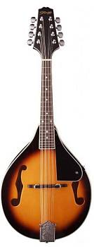 STAGG M20 S