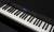 CASIO Privia PX-S3000BK