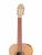 Kremona S65C-GG Sofia Soloist Series Green Globe