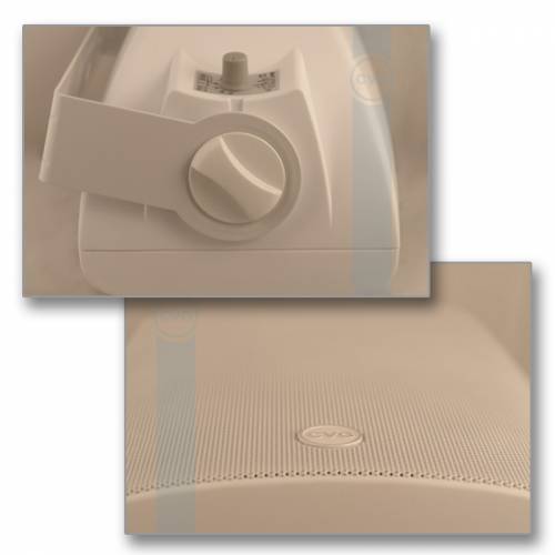 Громкоговоритель CVGaudio SF516TW